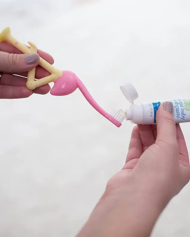 Dr. Brown’s Brosse à dents 1-4A – Flamant Rose – Image 3