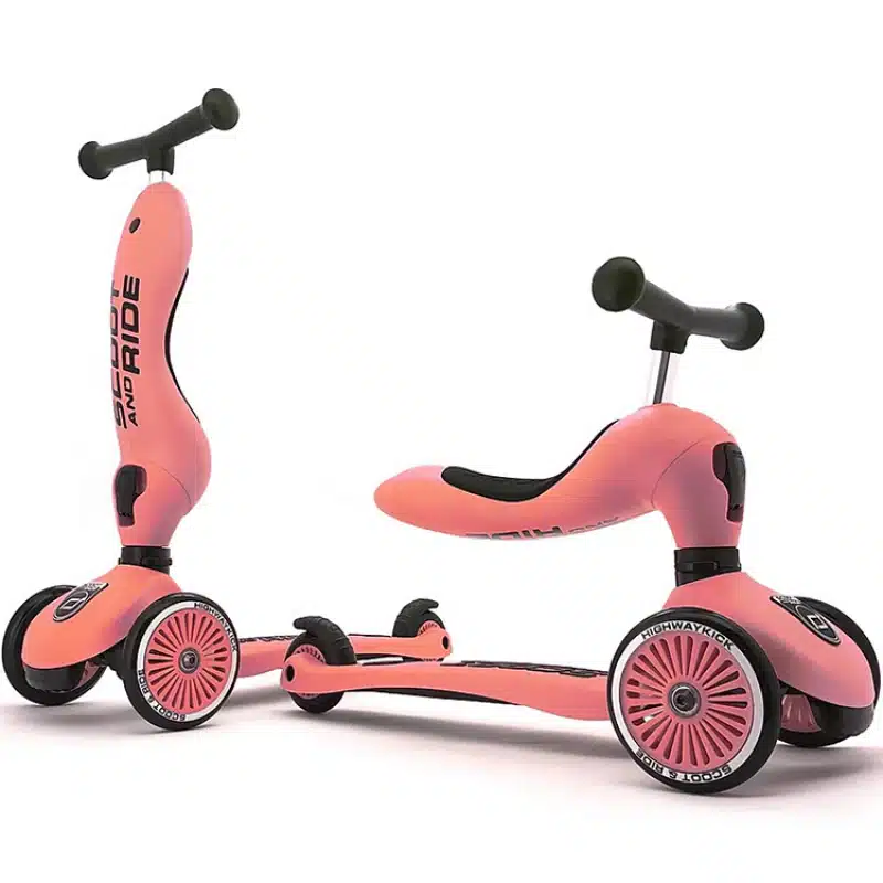 SCOOT & RIDE – TROTTINETTE HIGHWAYKICK 1 – pêche