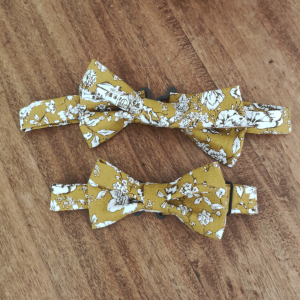 Le nœud papillon rétro